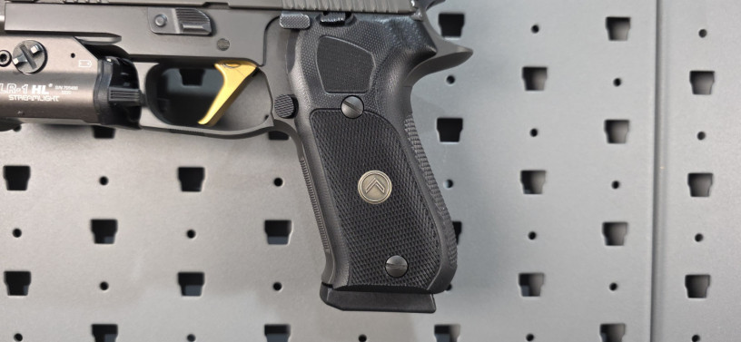 sig-sauer-p220-legion-10mm-w-trijicon-sro-rare-legion-tlr-1-hl-big-5